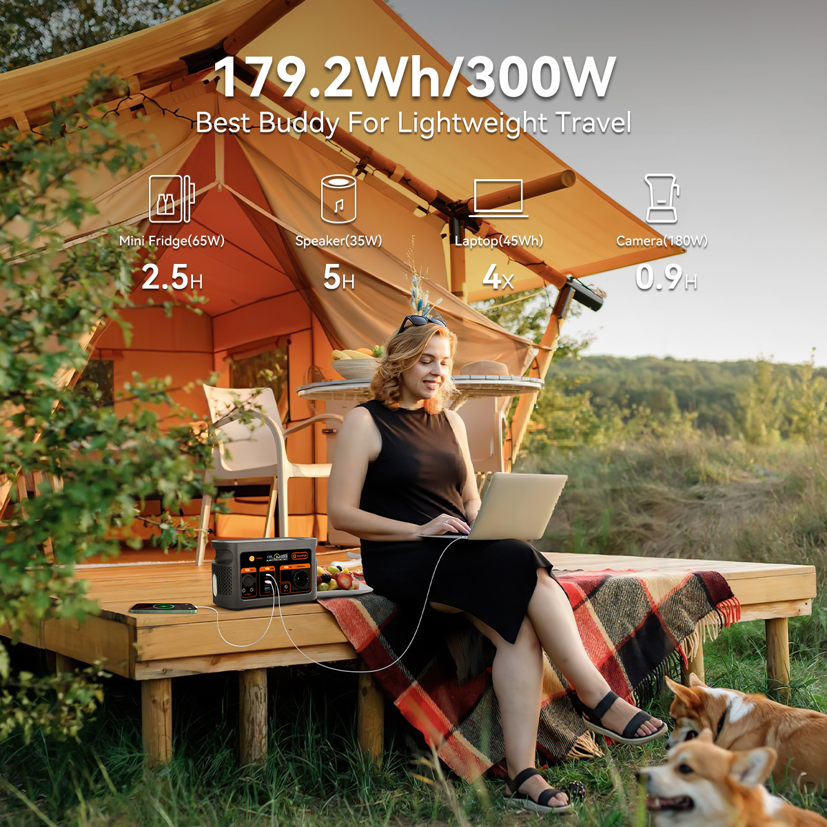 300W pure sine wave solar gene - Outdoor Power Generator recensie en prijs